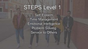 STEPS Level 1