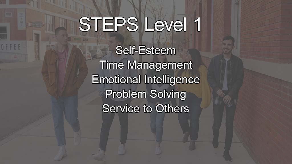 STEPS Level 1